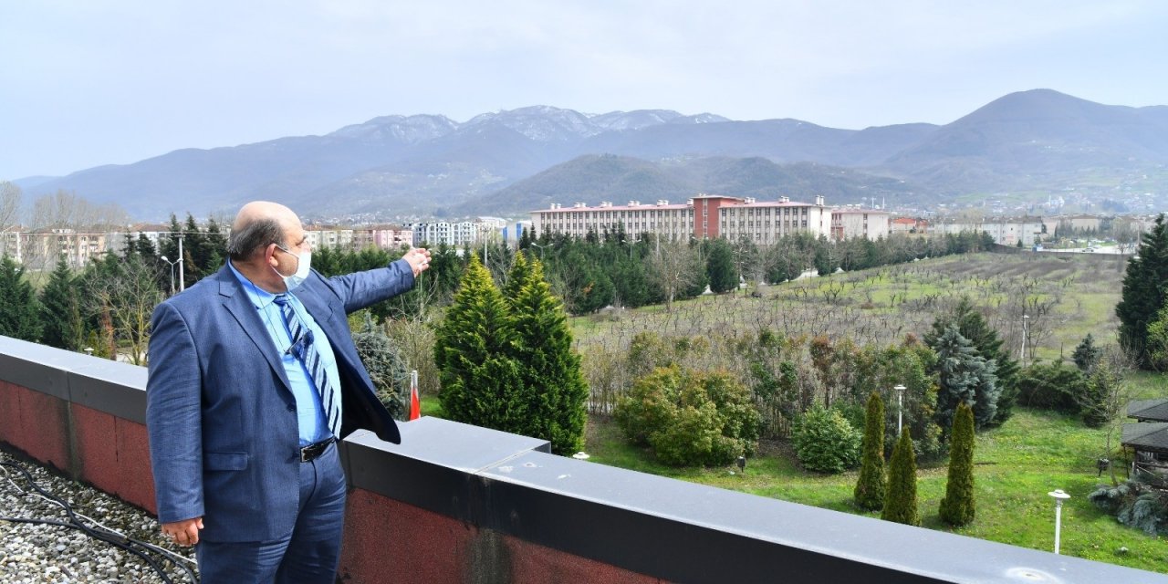 Hastalıklı Meyce Ağaçları Rehabilite Edilecek