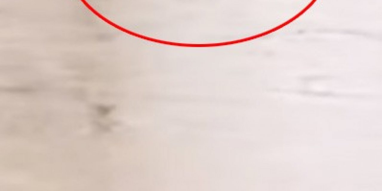 Azgın Sular Danayı Yuttu
