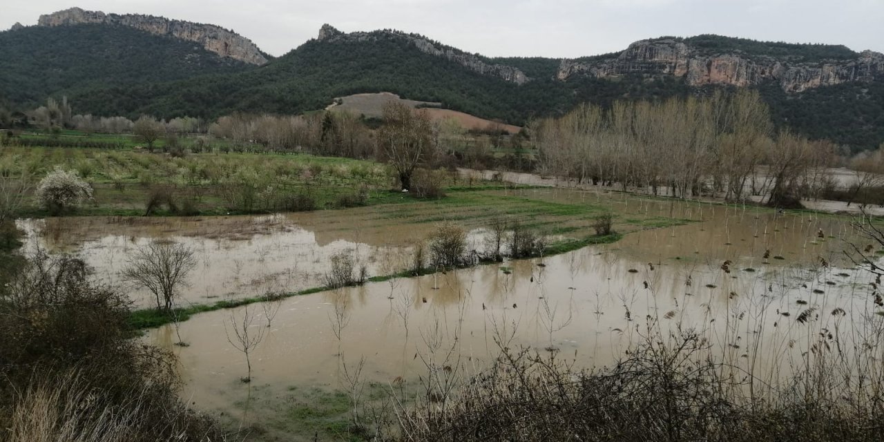 Göksu Nehri Taştı, Tarım Arazileri Su Altında Kaldı