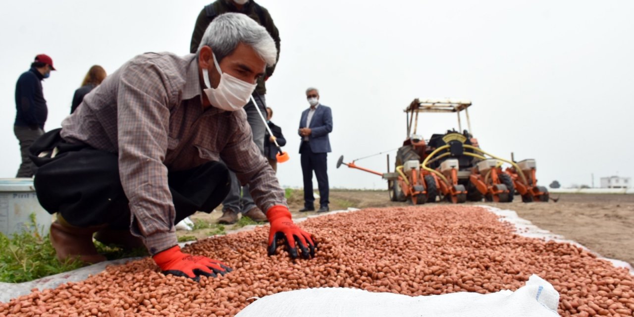 Tarsus’ta Yerli Tohum Üretimi Yaygınlaştırılıyor