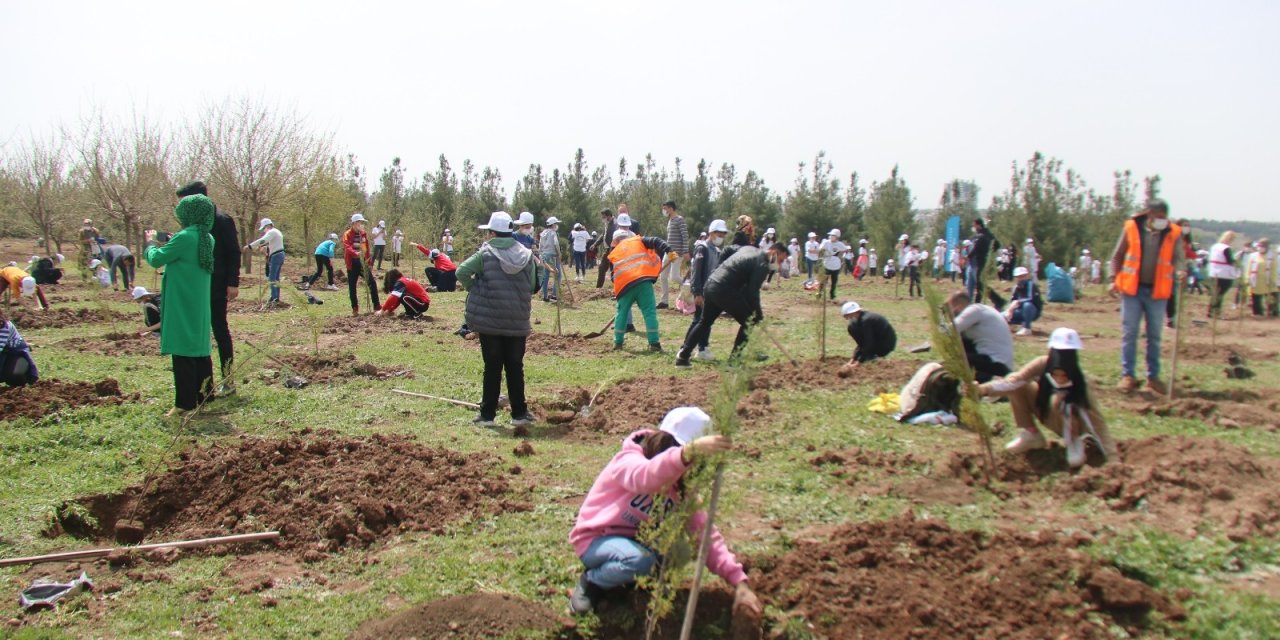 Diyarbakır’da 2 Bin 121 Fidan Toprakla Buluştu