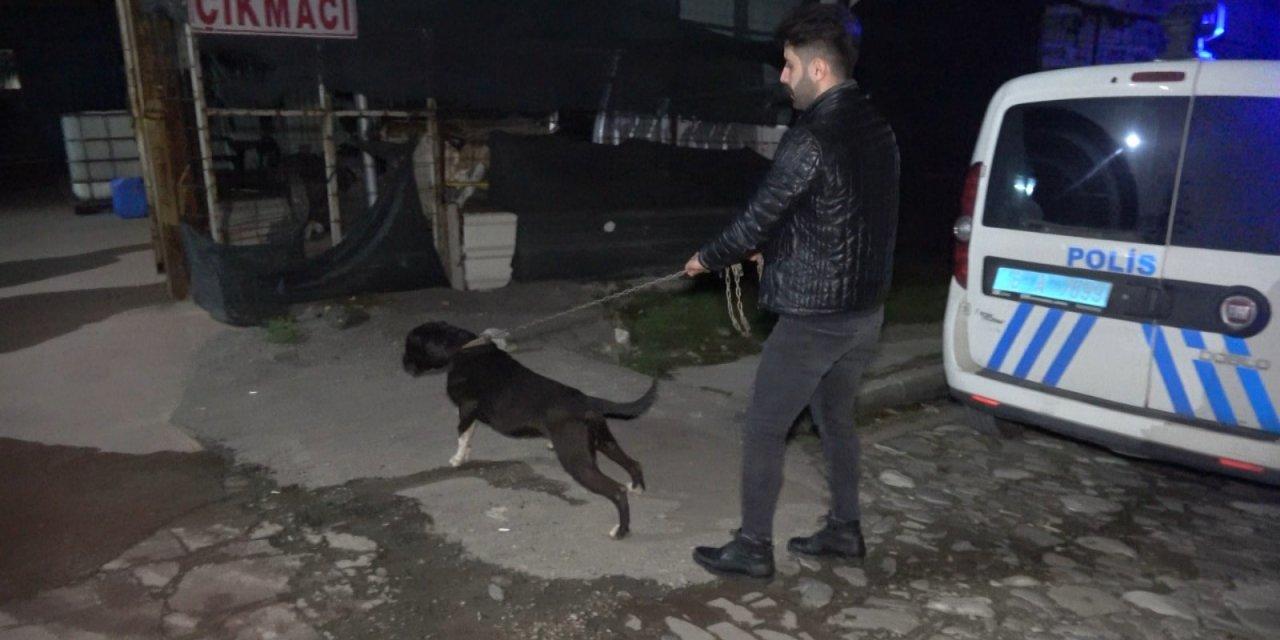 ’karlos’un Yakaladığı, Esnafın Dövdüğü Taciz Şüphelisi Tutuklandı