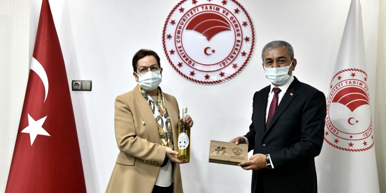 Başkan Kaplan, Koçarlılı Üreticilerin Taleplerini Ankara’ya Taşıdı