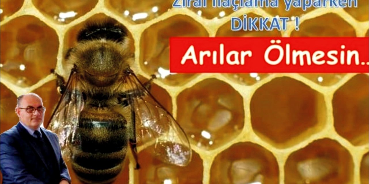İ̇laçlamaya "arı" Ayarı