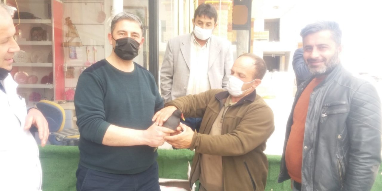 Yaralı Su Tavuğunun Tedavisine Başlandı