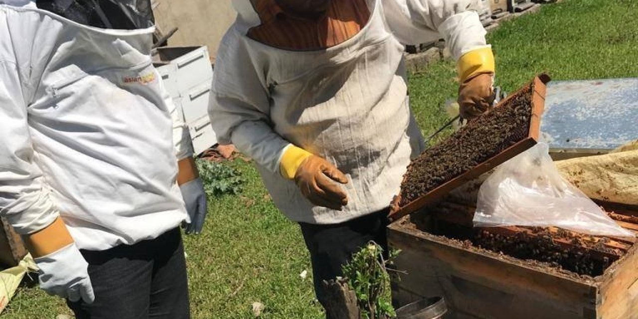 Tekirdağ’da Arı Kovanları Bakımdan Geçiyor