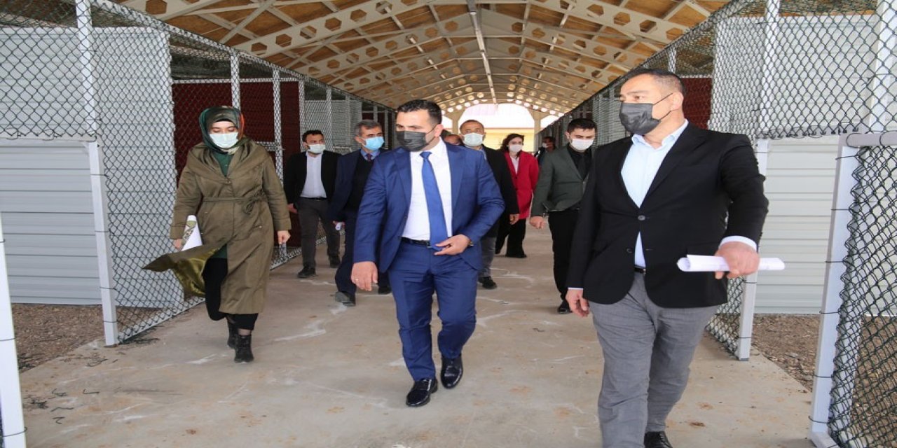 Modern Kangal Merkezinde Sona Yaklaşıldı