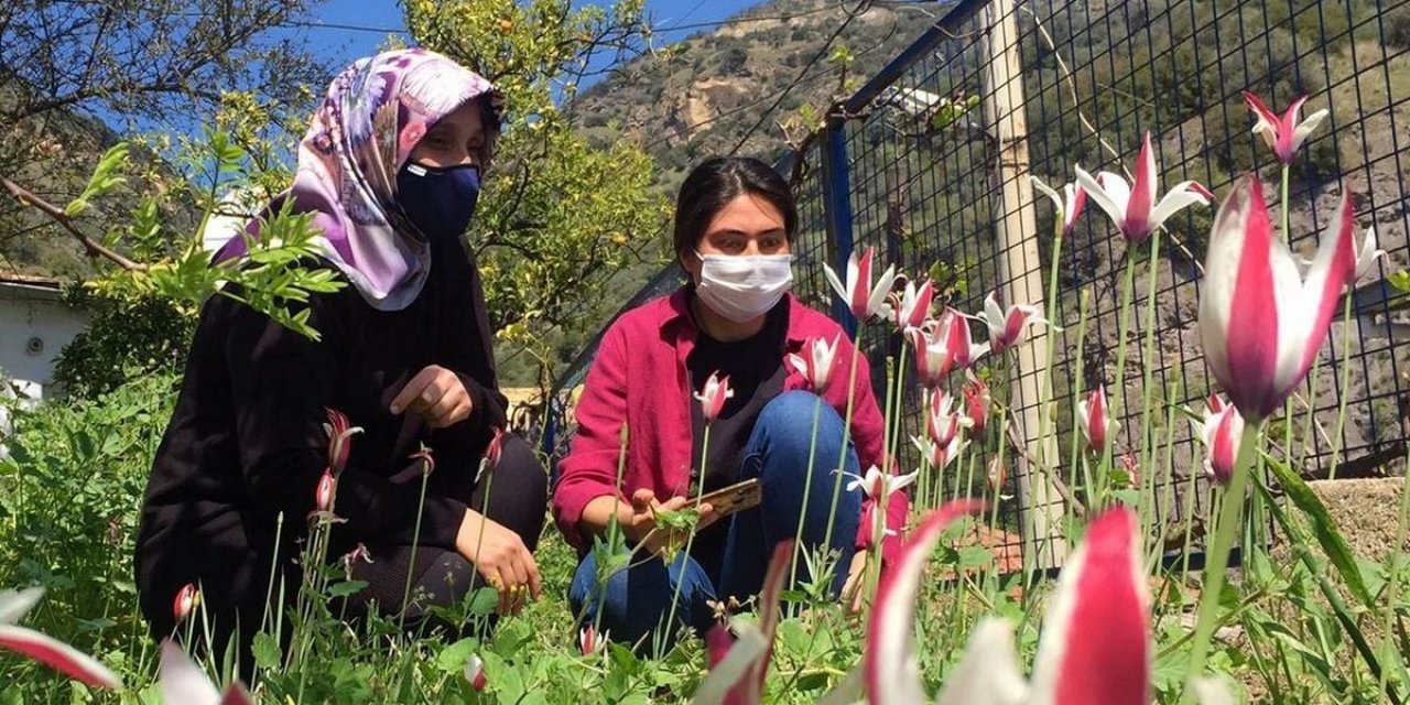 Osmanlı’nın Kayıp Lalesi Koruma Altına Alınacak