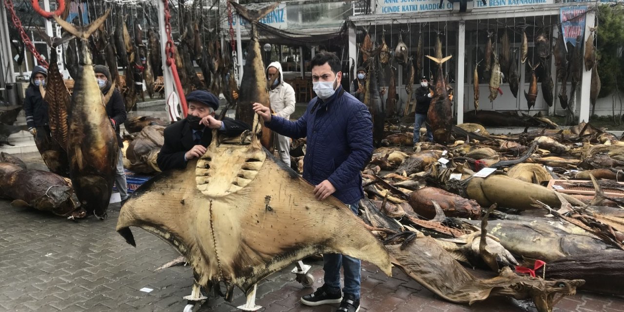 Chp’li Belediyenin Yıkım Kararı Aldığı Balık Müzesinin Kurucusu Kenan Balcı, Cumhurbaşkanı Erdoğan’a Seslendi