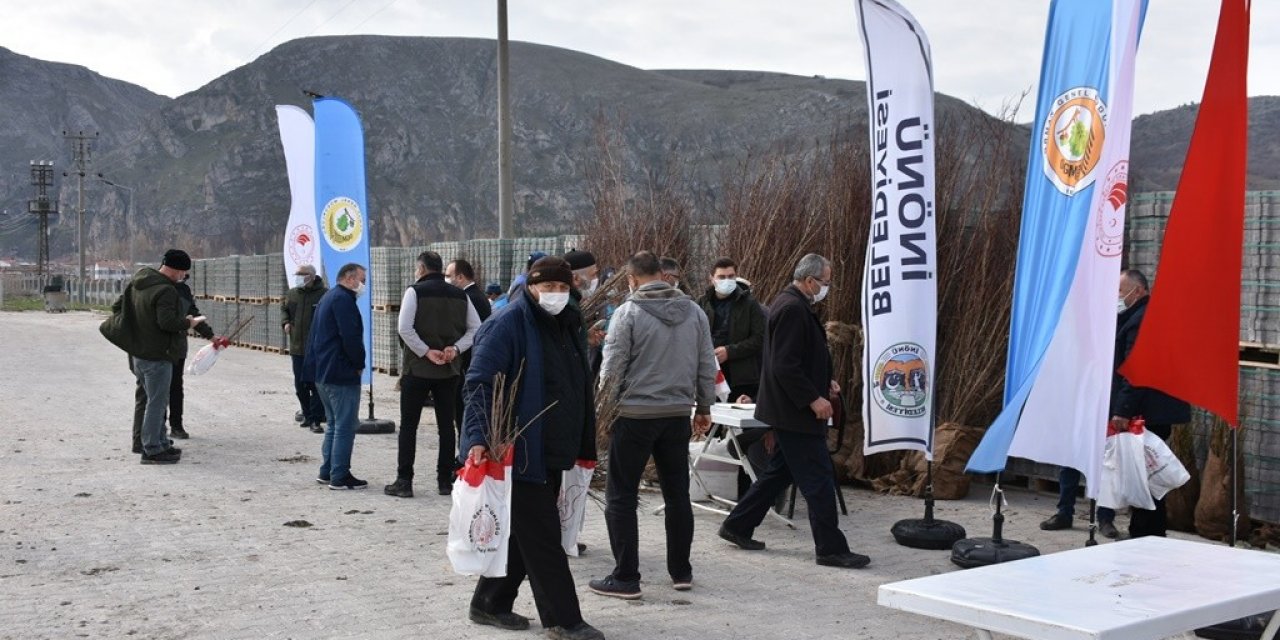 İ̇nönü’de Ücretsiz Dağıtılan Fidanlar Nefes Olacak