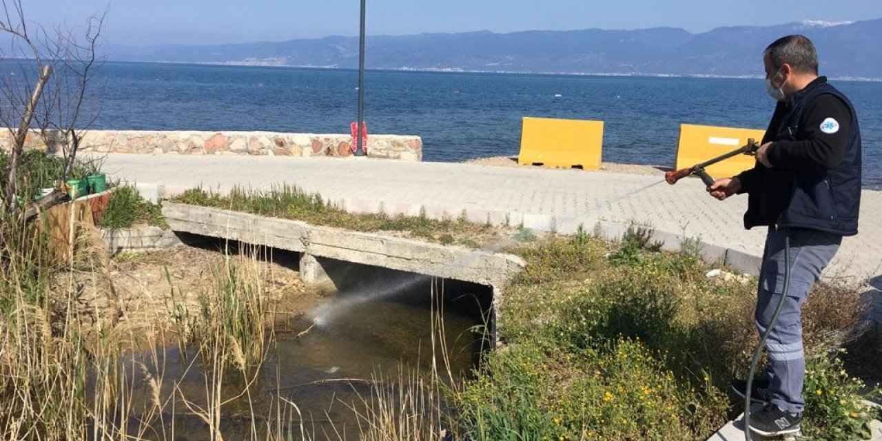 Burhaniye’de 365 Gün Haşere Mücadelesi