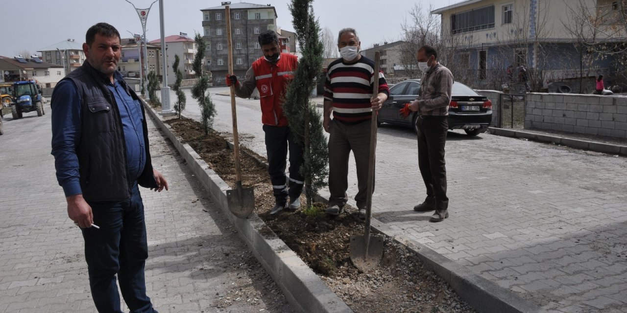 Bulanık Belediyesinden Ağaçlandırma Çalışması