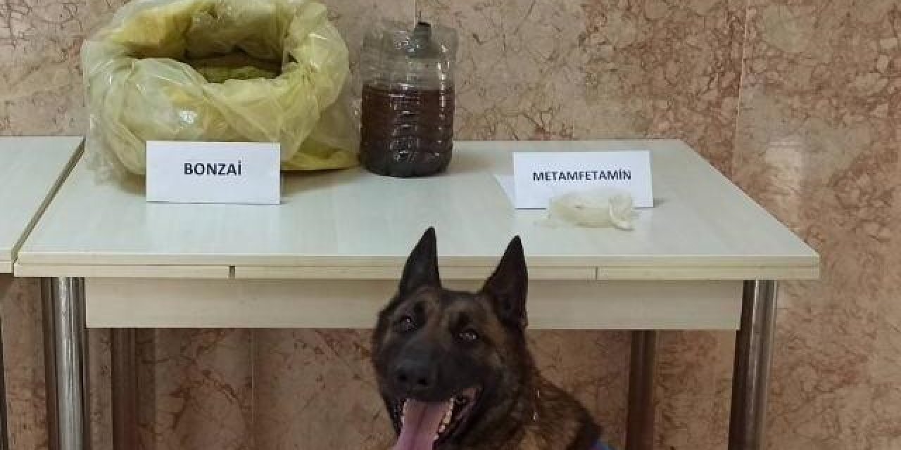 Uyuşturucu Operasyonunda 6 Buçuk Kilo Bonzai, 11 Gram Metamfetamin Ele Geçirildi