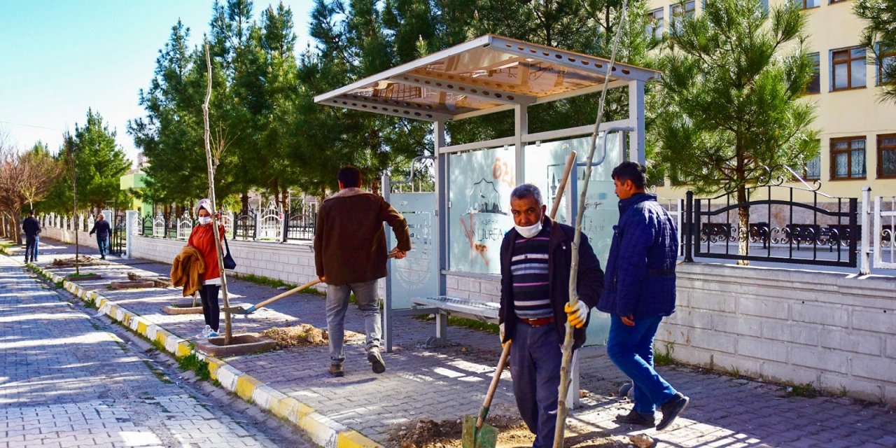 Ceylanpınar’da Yeşil Seferberlik