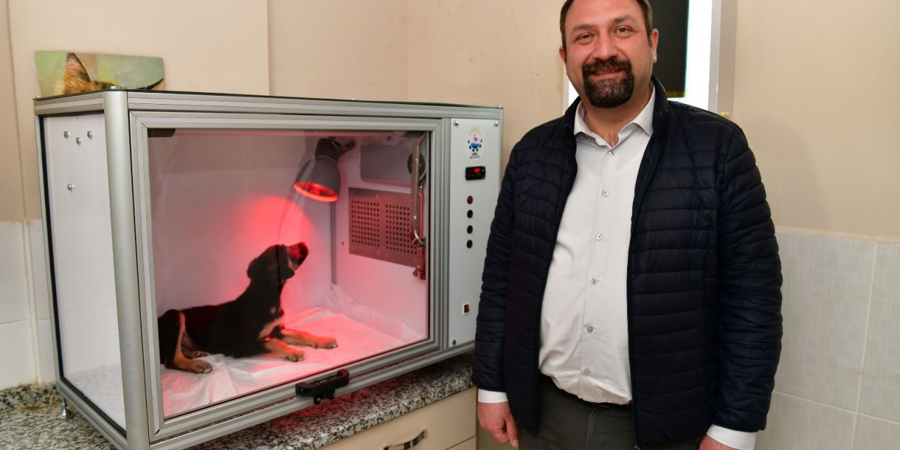Çiğli Belediyesinden Hayvan Dostu Proje: Yoğun Bakım Ünitesi