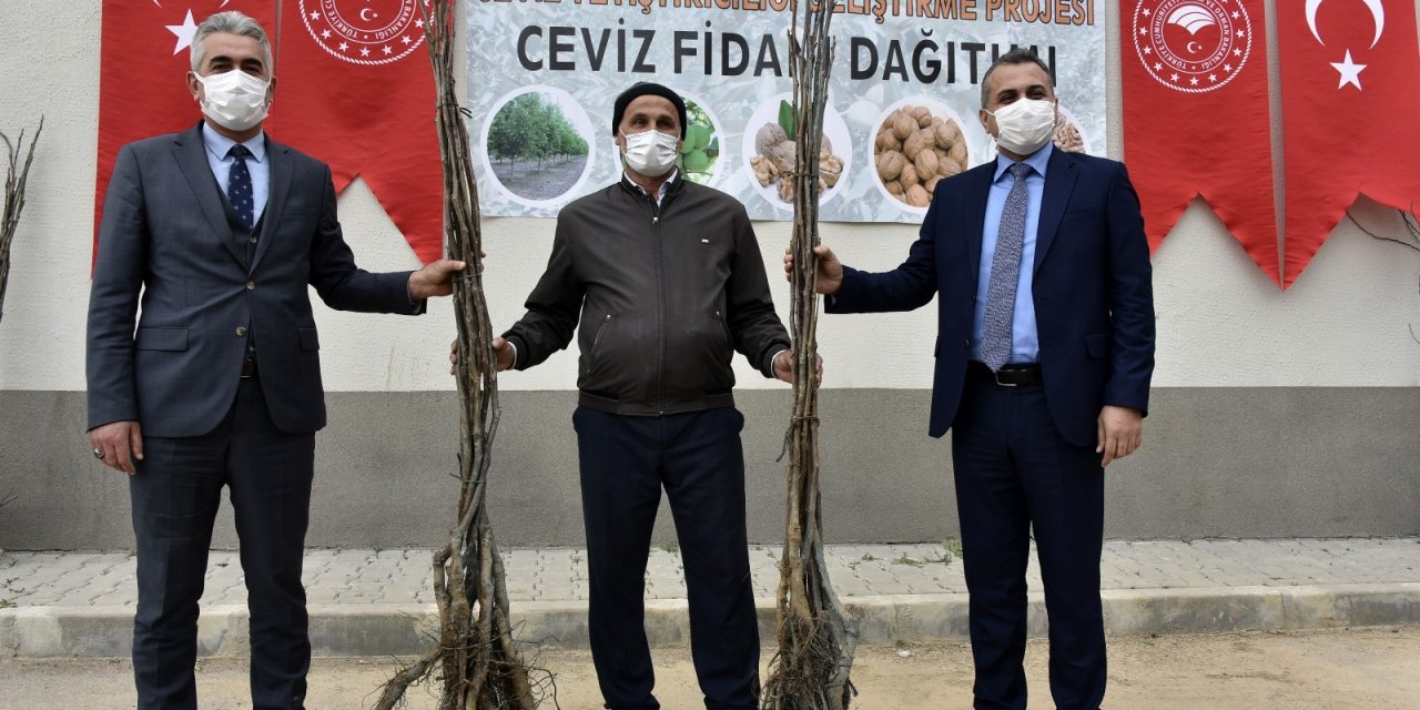 Gümüşhane’de Üreticilere 5 Bin 600 Ceviz Fidanı Dağıtıldı
