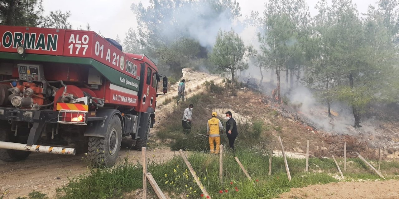 Yaşlı Adam, Çıkardığı Orman Yangınını Çalıyla Söndürmeye Çalıştı