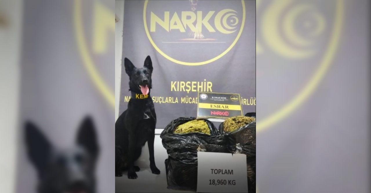Kırşehir’de uyuşturucu operasyonu uyuşturucu köpeği 19 kilogram uyuşturucu buldu