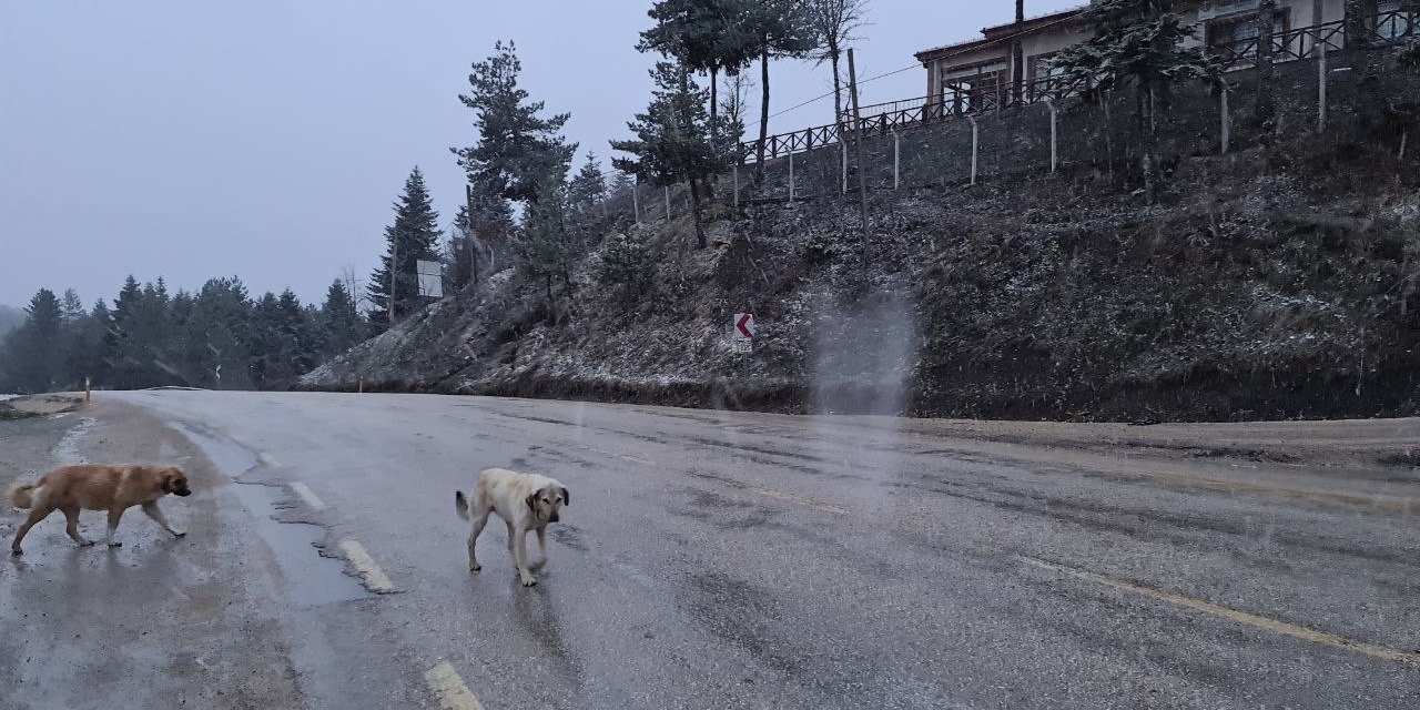 Karabük’te Nisan Ayında Kar Sürprizi