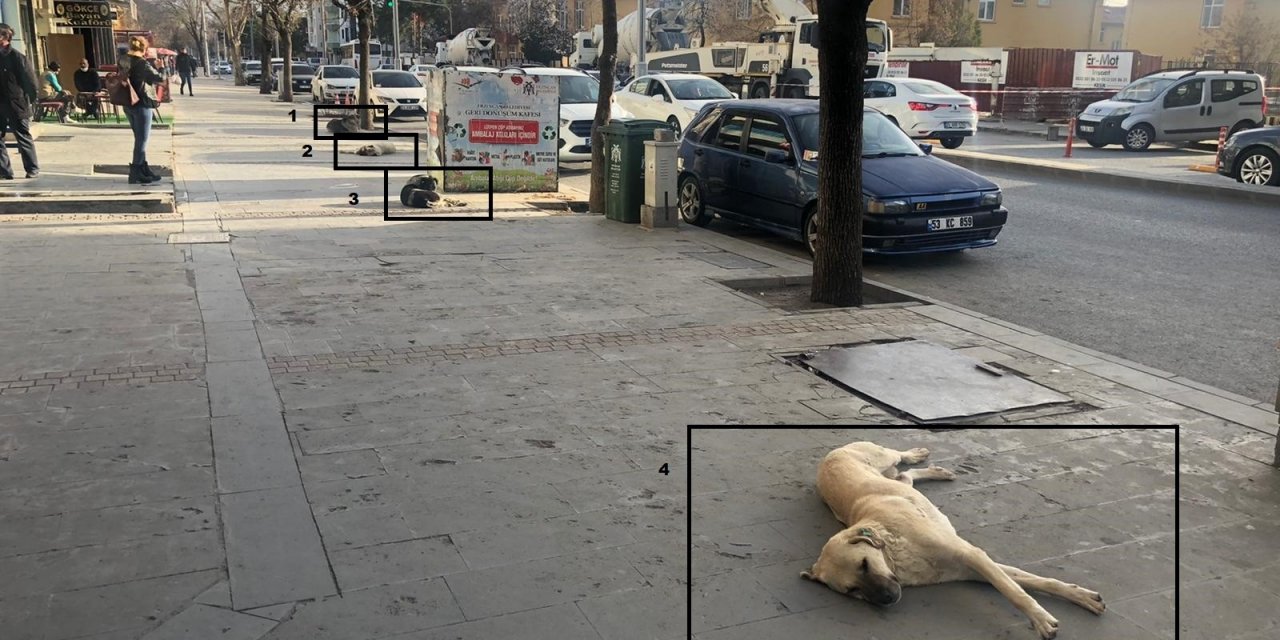 Sosyal Mesafeli Şekerleme