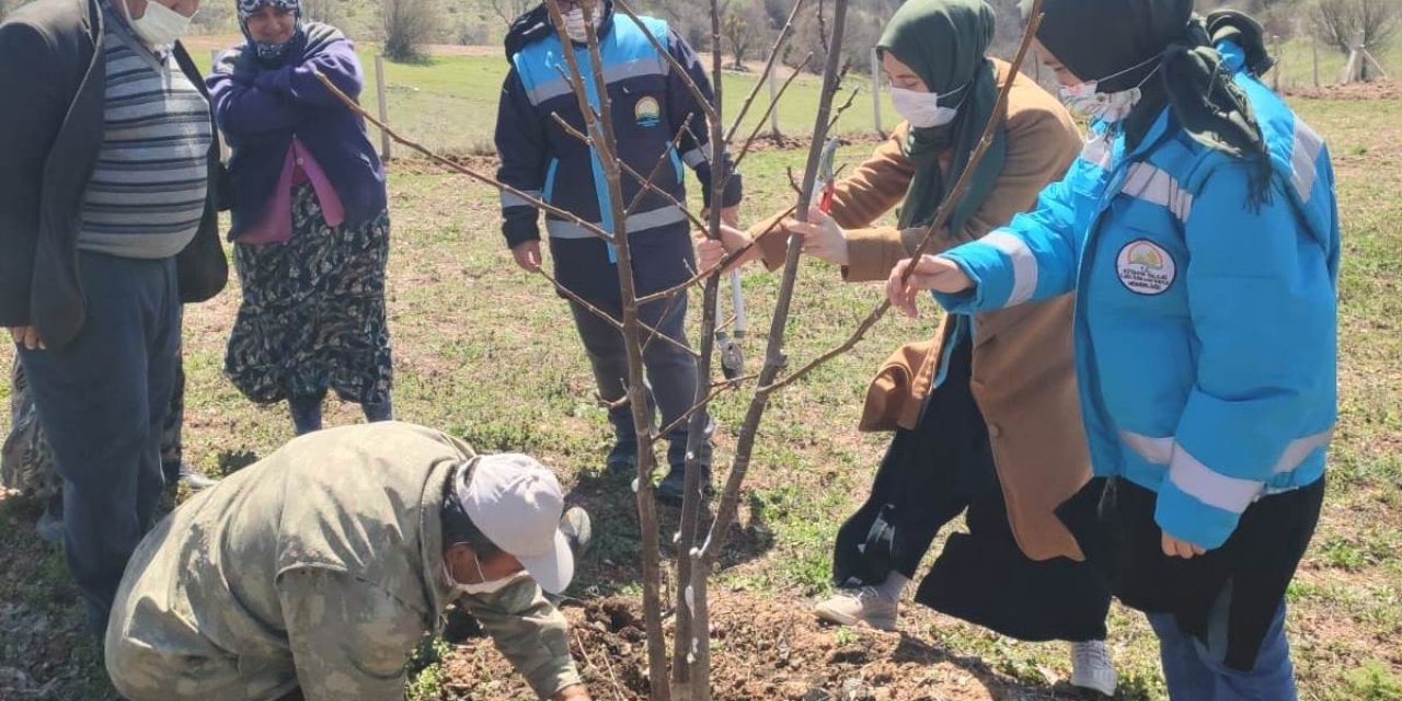 Hisarcık’ta Çiftçilere Budama Eğitimi