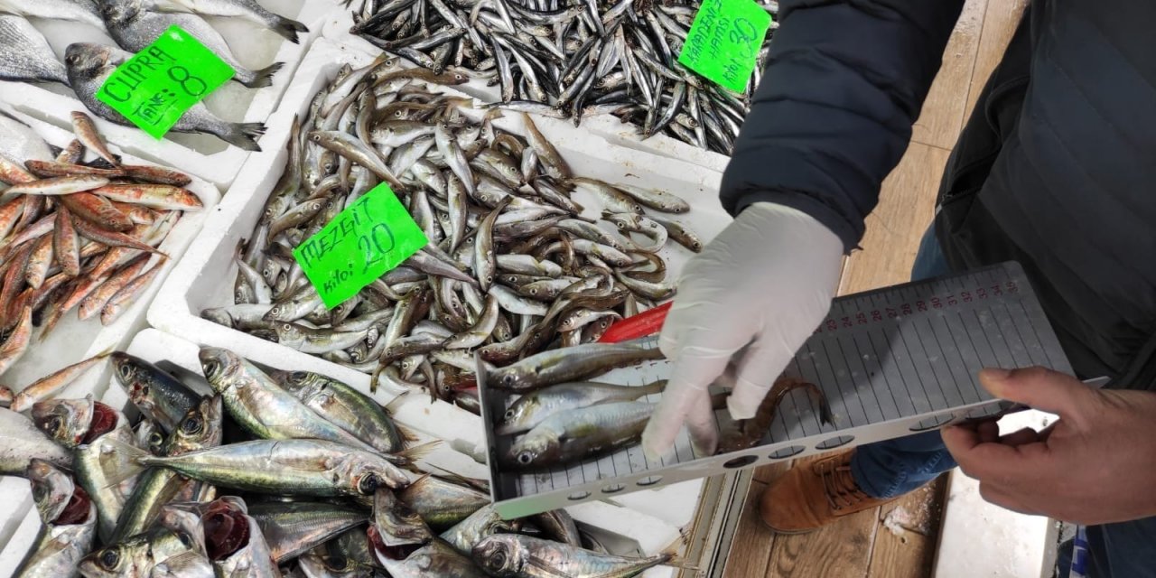 Ekipler Su Ürünleri Denetimi Yaptı