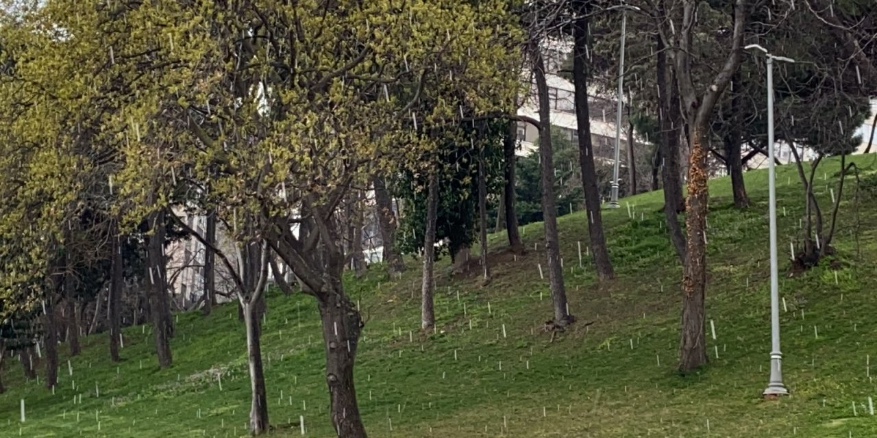 İ̇stanbul’da Dolu Ve Sulu Kar Sürprizi