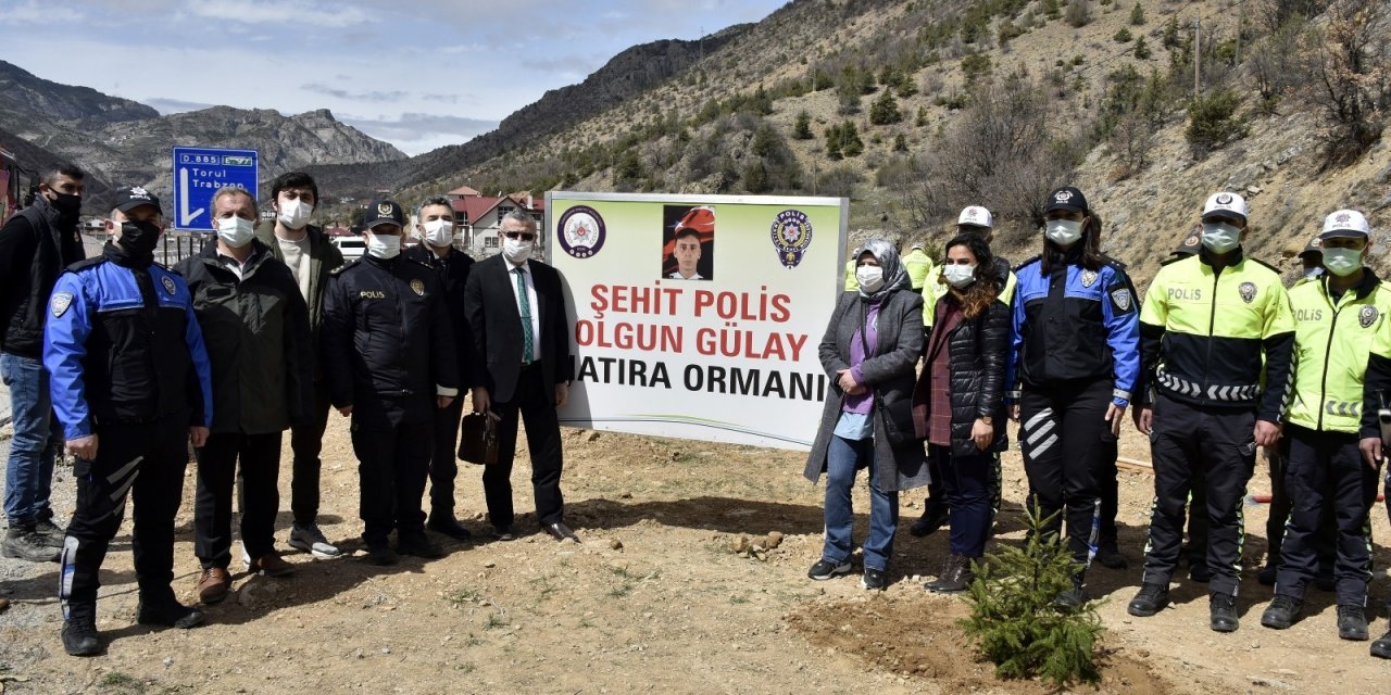 Gümüşhane’de Polis Haftası Kapsamında Fidan Dikildi, Lokma Dağıtıldı