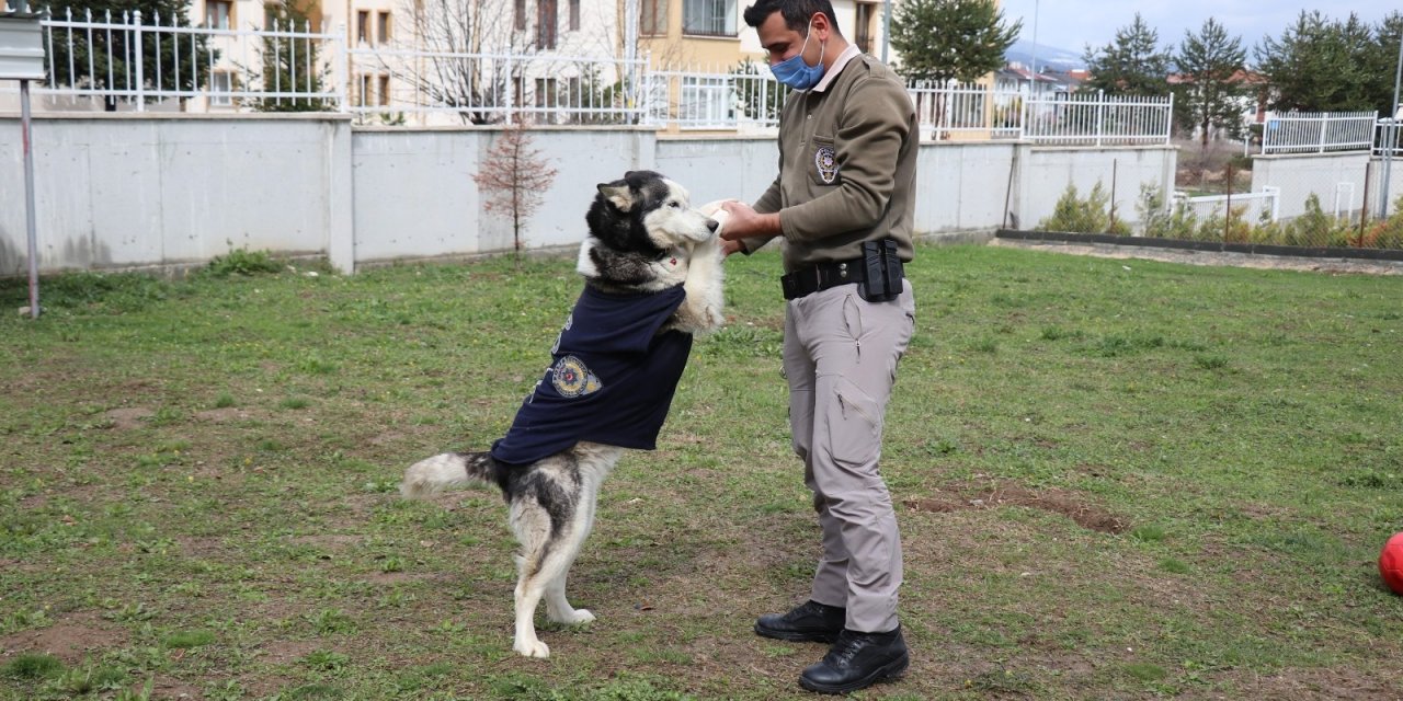 Polisler Ölmek Üzereyken Buldukları Köpeği Sağlığına Kavuşturdu
