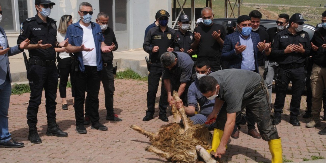 Cizre’de Şehit Polisler İçin Kurban Kesildi, Mevlit Okutuldu