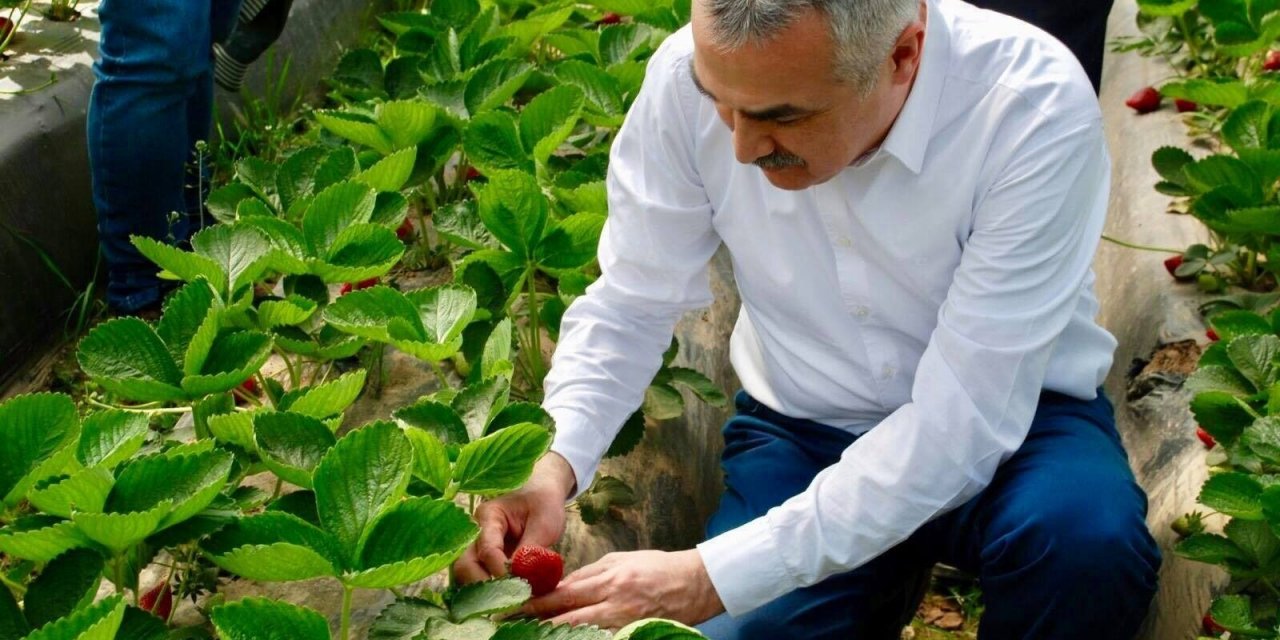 Milletvekili Savaş; "aydınımız İçin Katma Değer Üretmeye Devam Edeceğiz"
