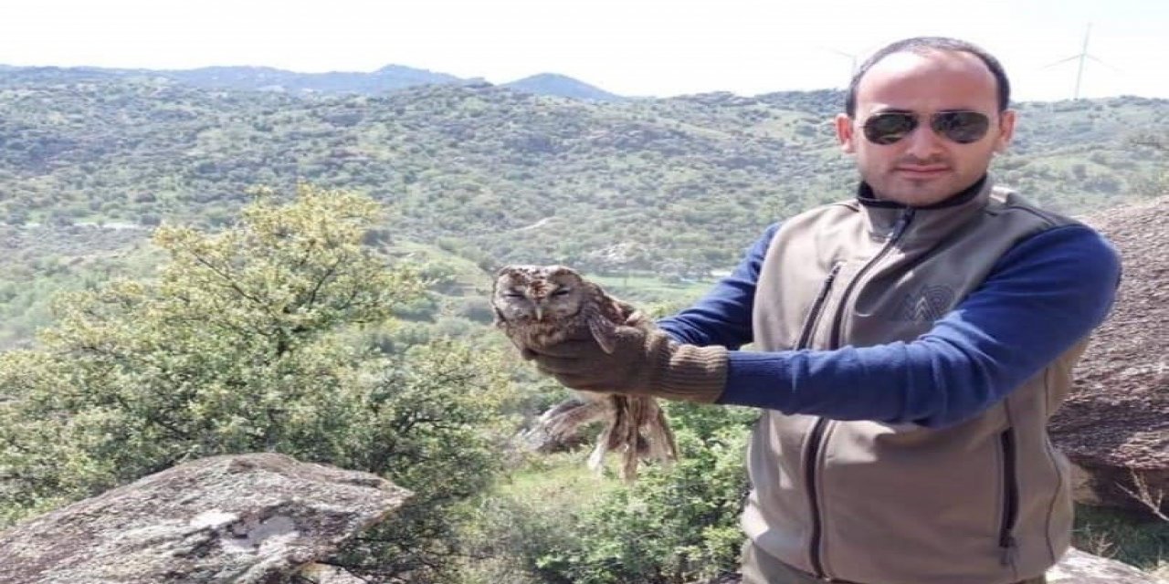 Yaralı Halde Devlete Sığınan Baykuş Tedavisinin Ardından Doğaya Salındı