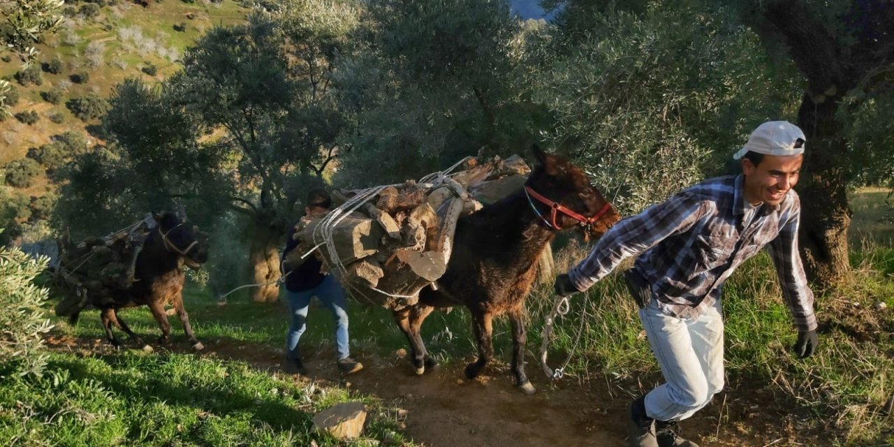 Kış Yeniden Geri Gelince, Vatandaşa Yakacak Telaşı Sardı