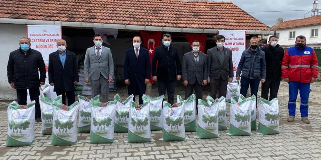 Aslanapa’da Üreticilere Yonca Tohumu Dağıtıldı