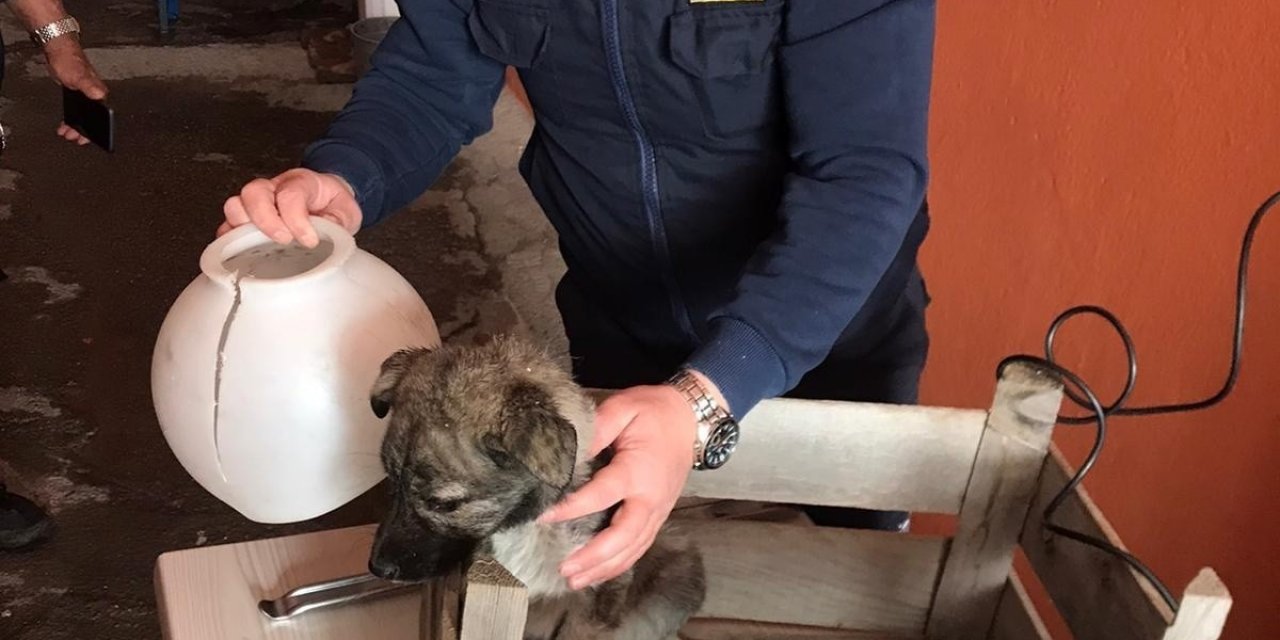 Kafası Abajur Başlığına Sıkışan Köpeğin İmdadına İtfaiye Ekipleri Yetişti
