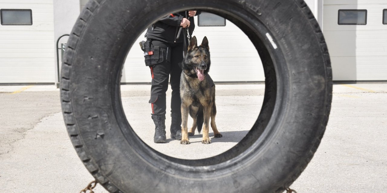 Sahne Polis Köpeklerinin