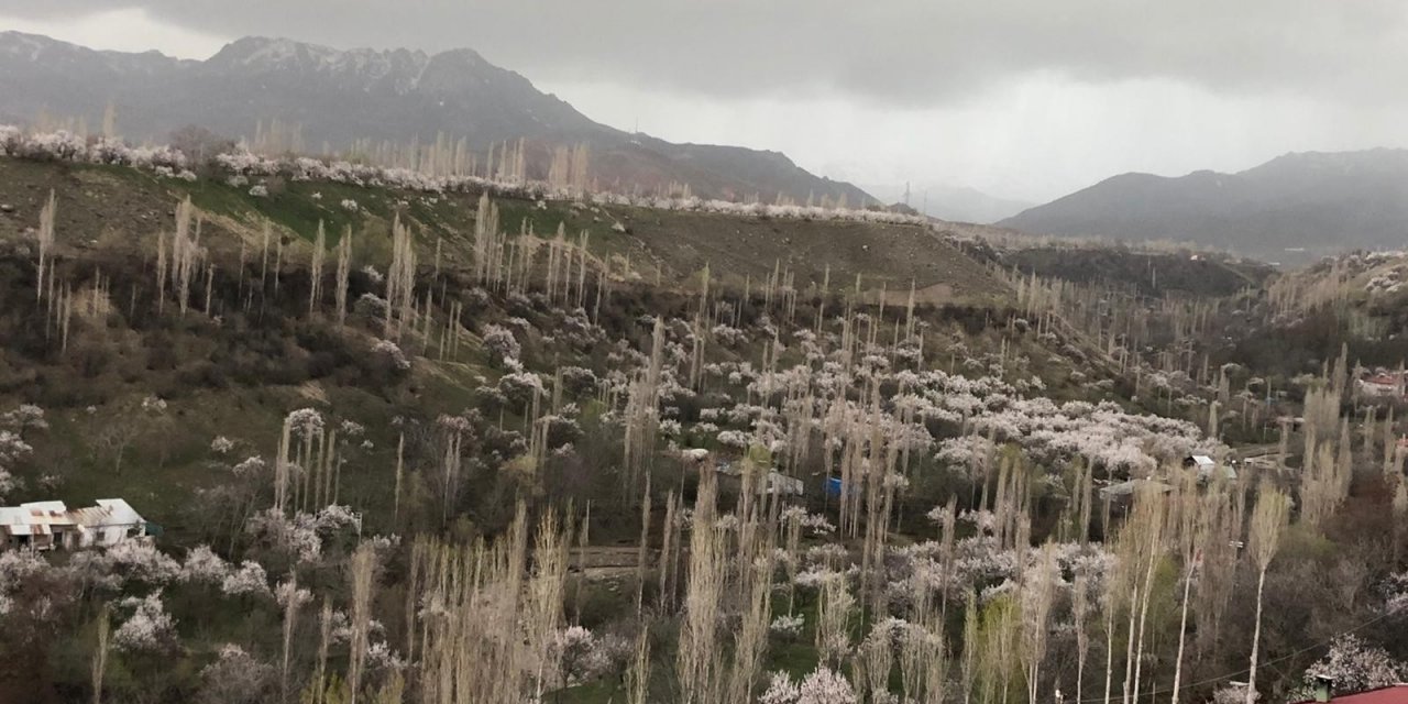 Kağızman Beyaz Gelinliğini Giydi