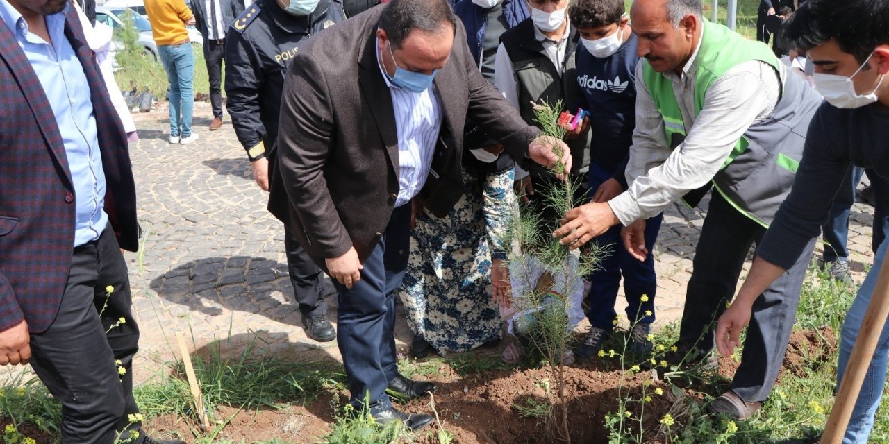 Ekinci, Polislerle Beraber Ağaç Dikti