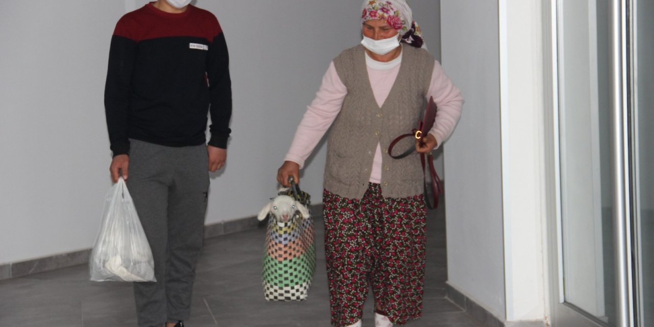 Doğum Sırasında Sakatlanan Kuzuyu Pazar Çantası İle Veterinere Getirdi