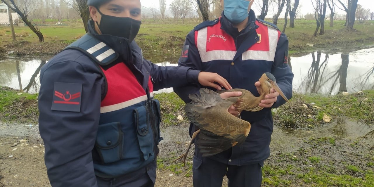 Ağaç Dallarına Takılan Balıkçılı Jandarma Kurtardı