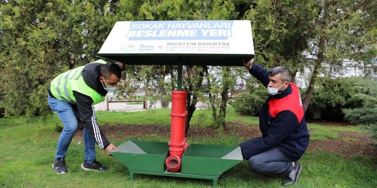 İ̇lkadım’da Sokak Hayvanları Unutulmadı
