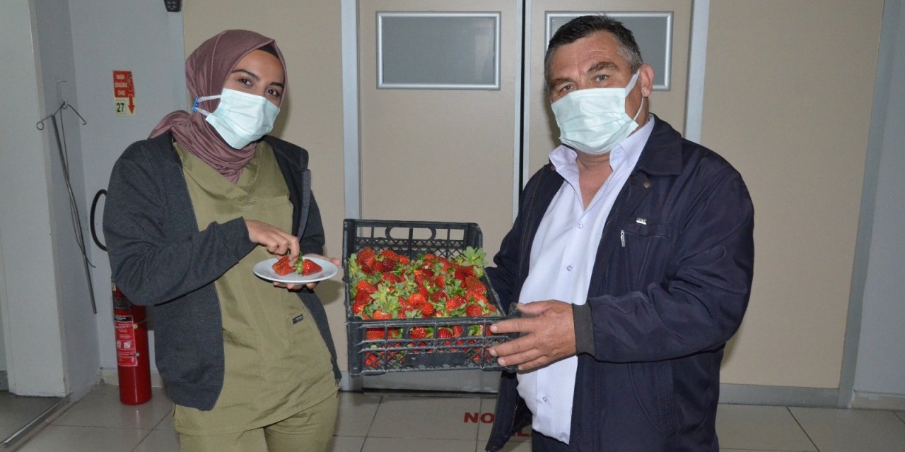 Ürettiği Çileklerin İlk Mahsulünü Sağlıkçılara İkram Etti