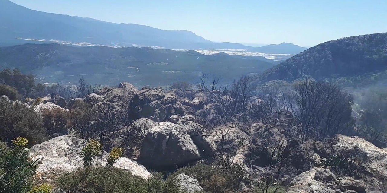 Seydikemer’de Makilik Alandaki Yangın Söndürüldü