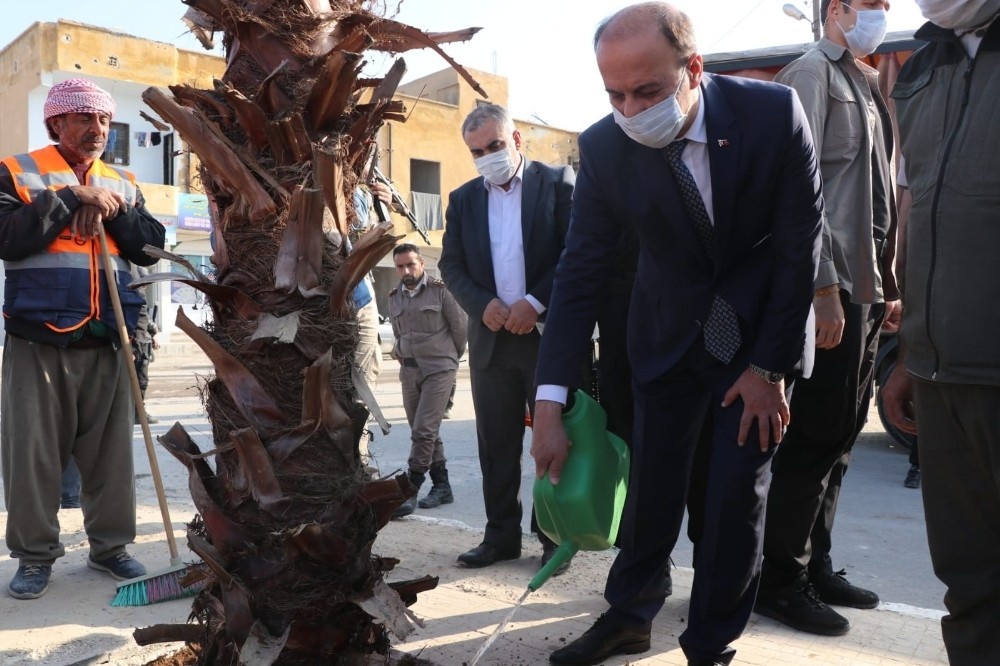 Barış Pınarı bölgesi yeşillendiriliyor