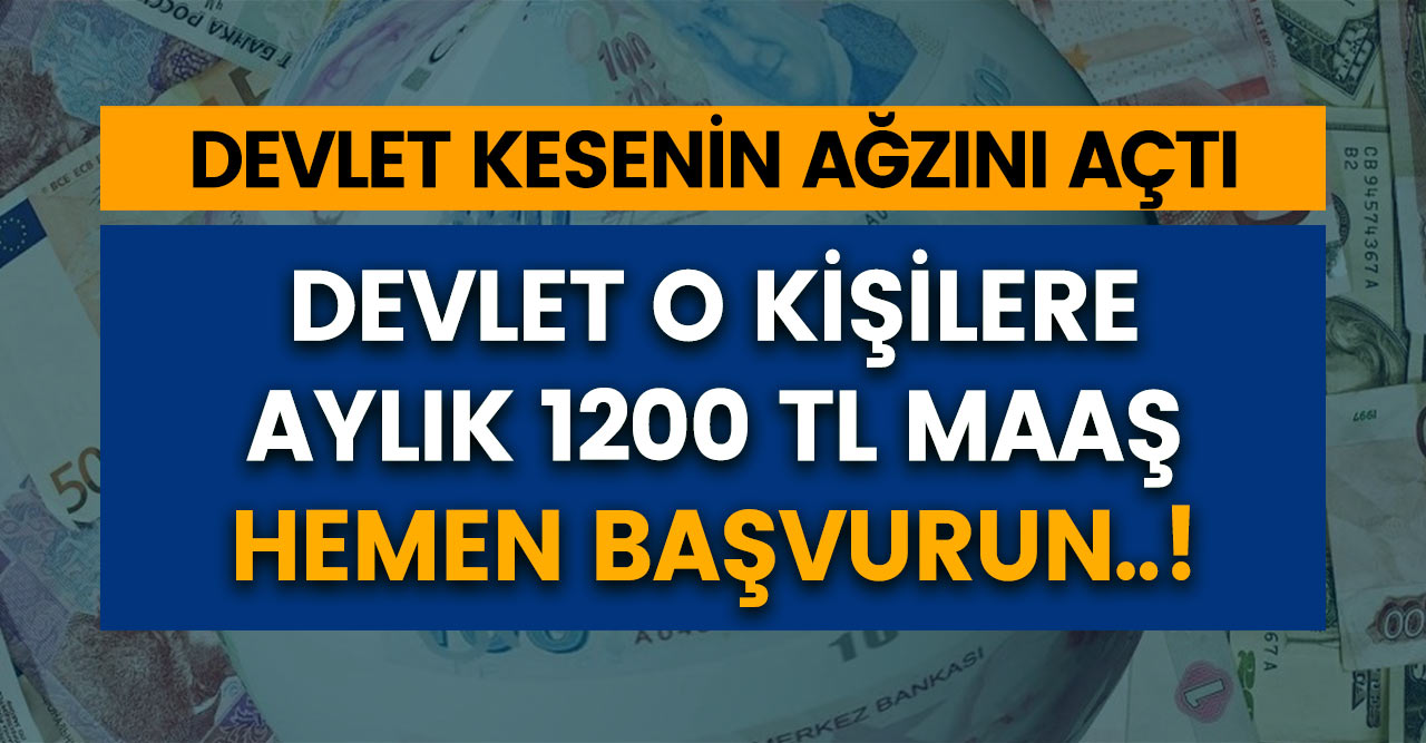 Devlet o kişilere aylık 1200 TL maaş bağlıyor! Hemen kaçırmadan başvuru yapın!
