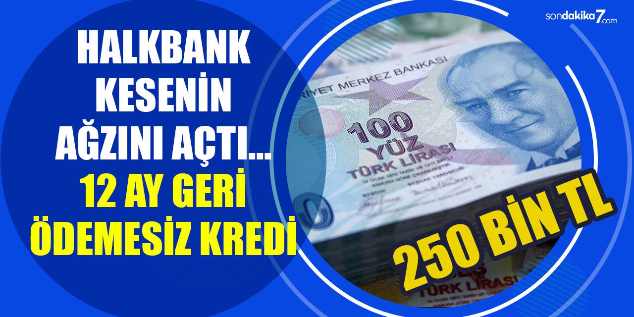 Halkbank kredi muslukları sonuna kadar açtı! 12 Ay geri ödemesiz 250 bin TL ye kadar kredi fırsatı