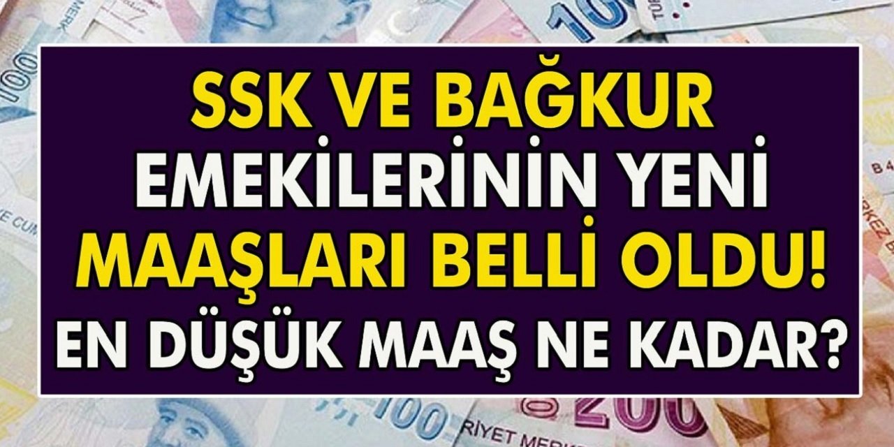 SGK, Bağ-Kur Emekli Sandığı Emekli, Memur emeklisi, Polis, Öğretmen, Hemşire ve Asgari ücretli'lerin maaşları sızdırıldı