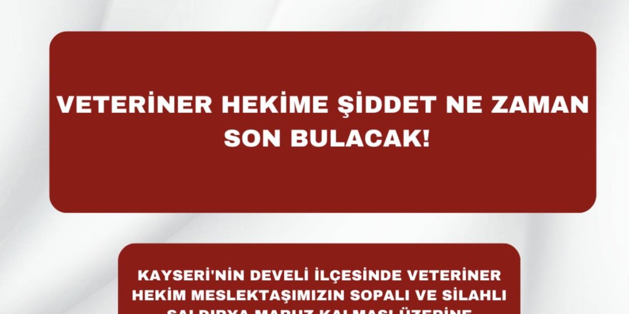 Veteriner Hekime Sopa Ve Ateşli Silahla Saldırı
