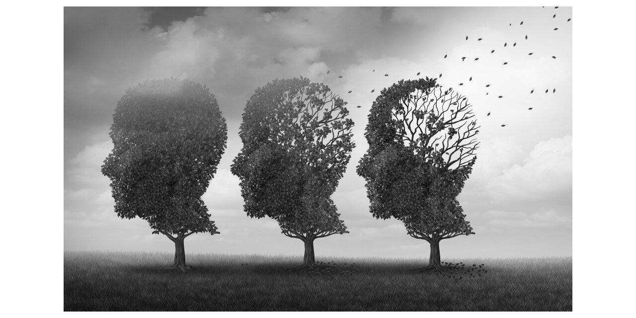 Alzheimer’a Karşı Doğal Çözüm!