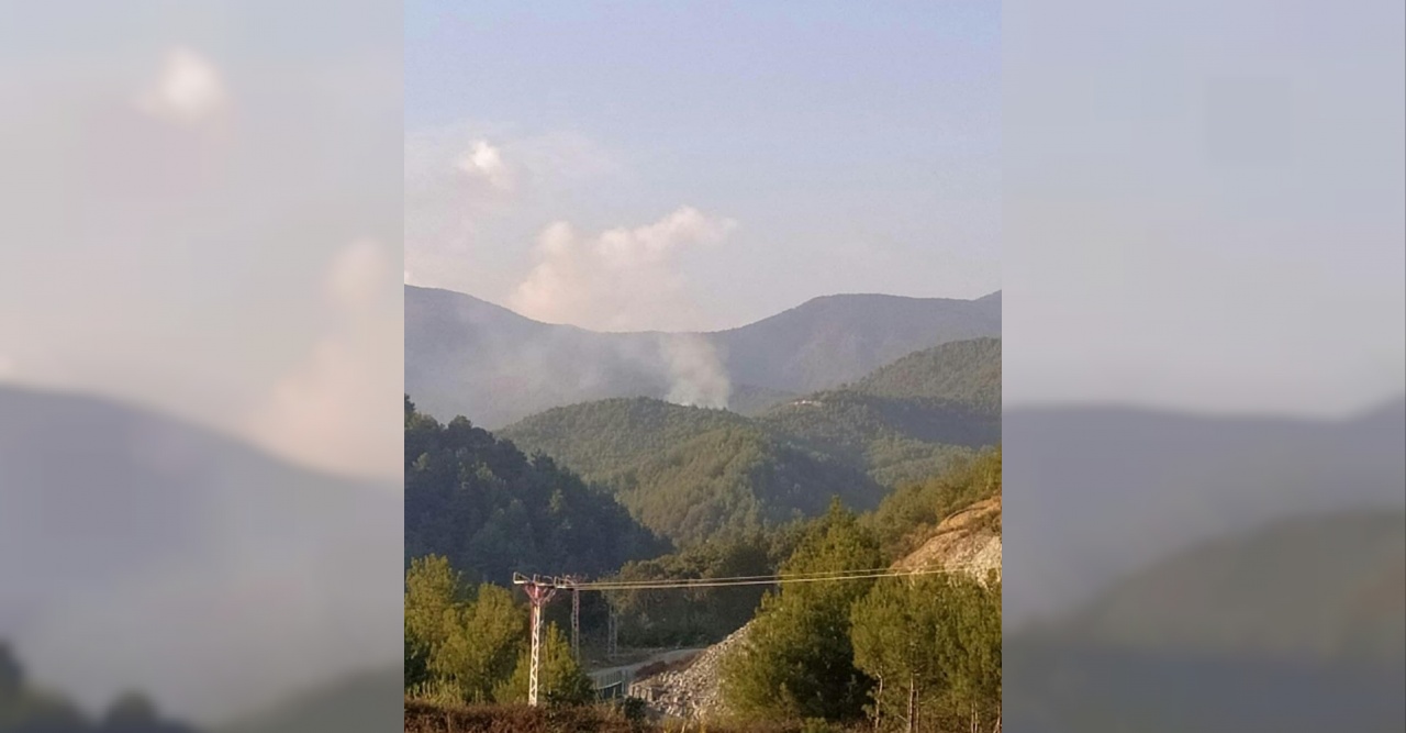 Samandağ’da orman yangını